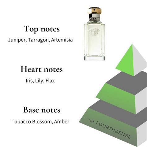 versace dreamer notes